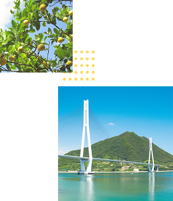 レモンイメージ